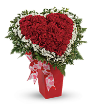 Heart and Soul - Carnations