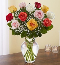 Rose Elegance™ Premium Long Stem Assorted Roses
